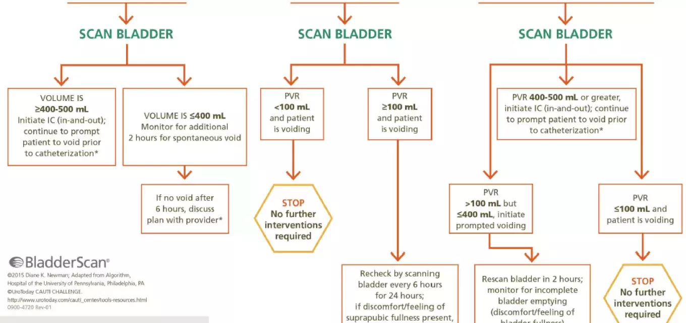 BladderScan- Pathway Protocol Brochure
